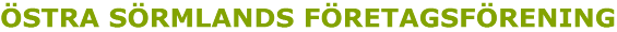 &Ouml;stra S&ouml;rmlands f&ouml;retagsf&ouml;rening